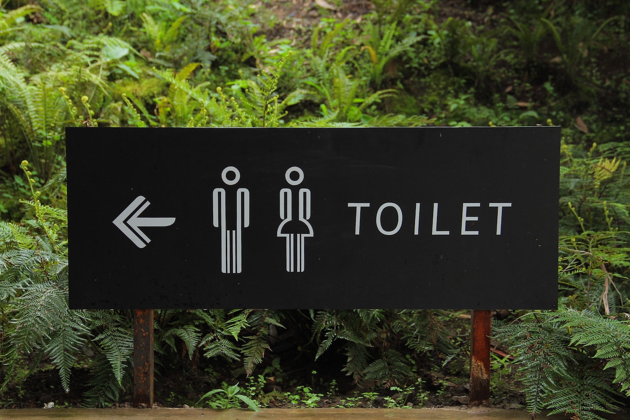 Leave the Lavvies
